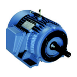 Electric Motors [AC] – IEC METRIC Frame (1PH & 3PH)